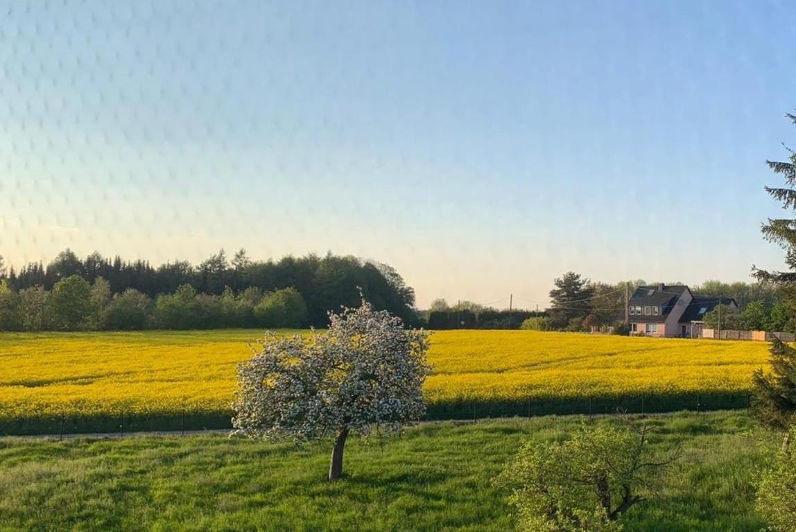 Kleine Auszeit Mit Aussicht Velbert Toenisheide Appartement Buitenkant foto